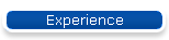 Experience